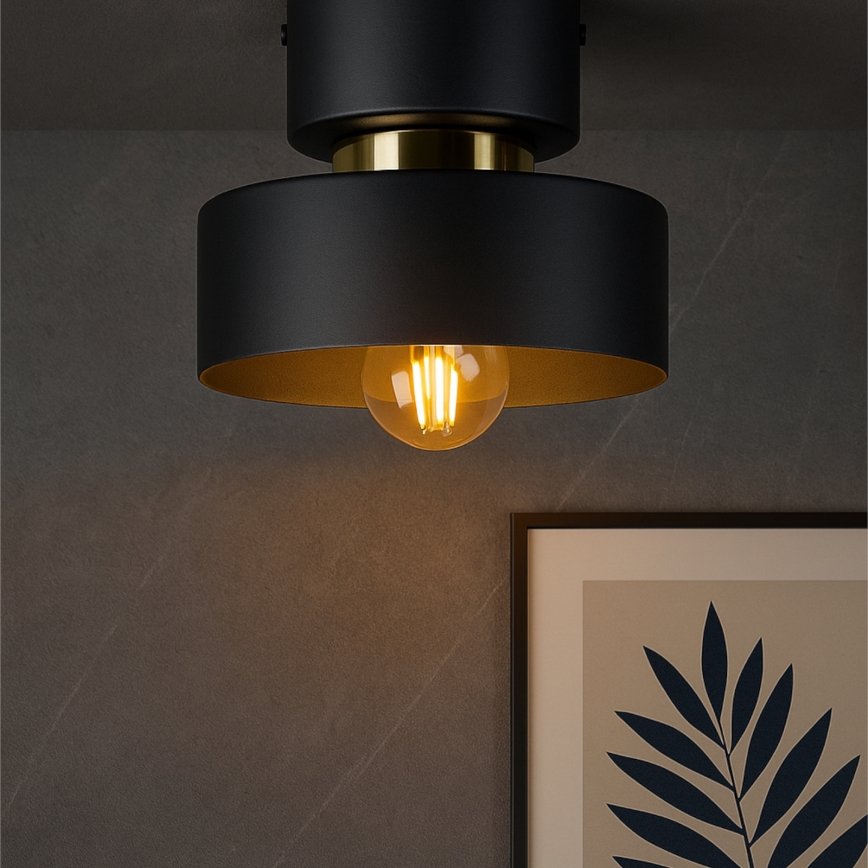 Plafonnier IGNIA 1x E27/60W/230V noir/doré