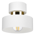 Plafonnier IGNIA 1xE27/60W/230V blanc