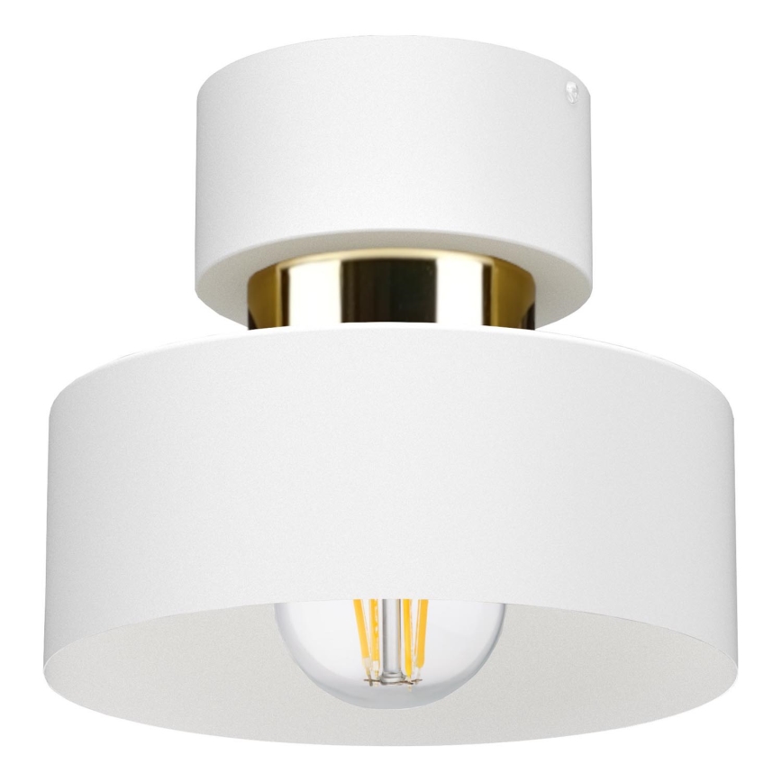 Plafonnier IGNIA 1xE27/60W/230V blanc