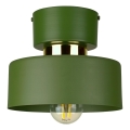 Plafonnier IGNIA 1xE27/60W/230V vert
