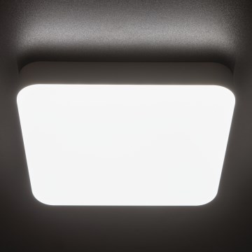 Plafonnier industriel IPER LED/19W/230V IK10 IP65 carré blanc