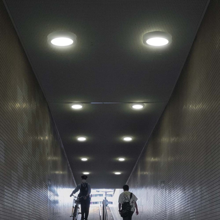 Plafonnier LED/12W/230V 6500K d. 16,7 cm blanc