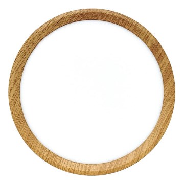 Plafonnier LED/18W/230V 3000/4000/6500K Ø 23 cm beige