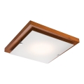 Plafonnier LED 1xLED/12W/230V pin sylvestre