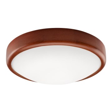 Plafonnier LED 1xLED/12W/230V pin sylvestre