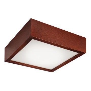 Plafonnier LED 1xLED/12W/230V pin sylvestre
