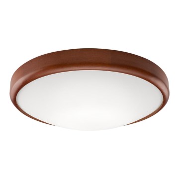 Plafonnier LED 1xLED/24W/230V