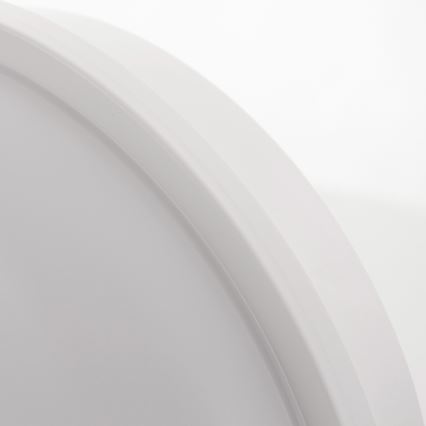 Plafonnier LED/20W/230V IP65