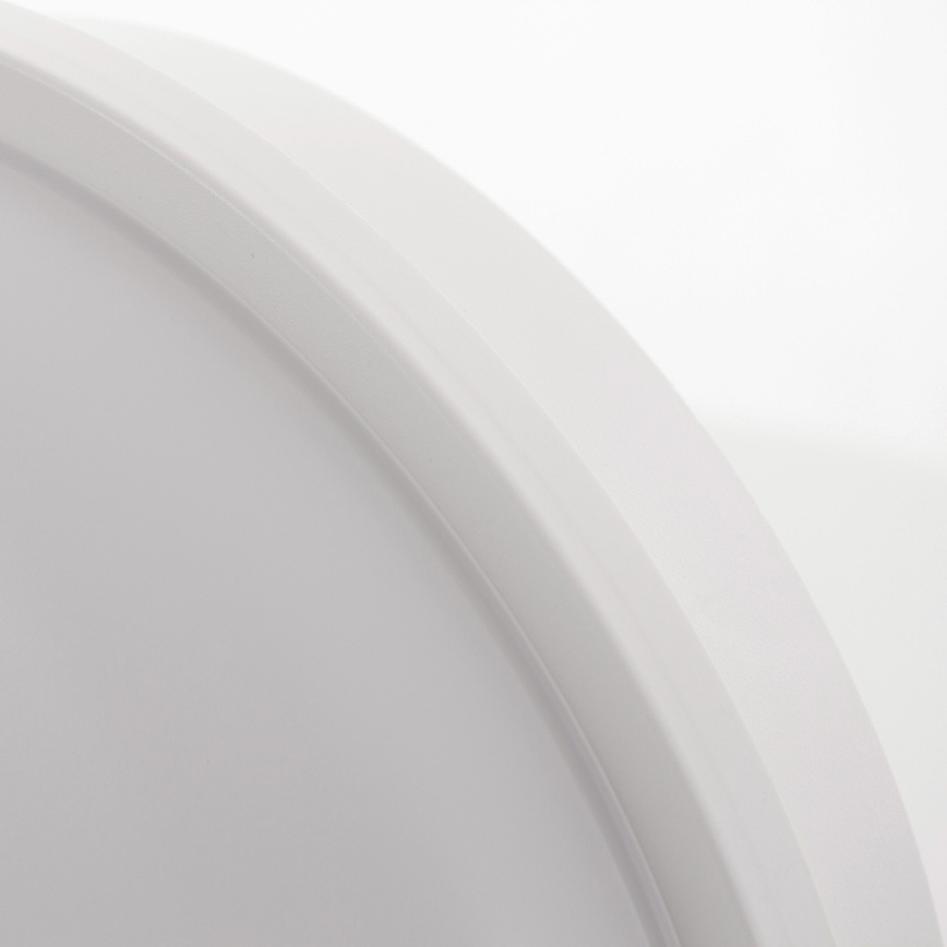 Plafonnier LED/20W/230V IP65