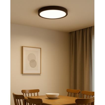 Plafonnier LED/24W/230V 3000/4000/6500K Ø 30 cm marron