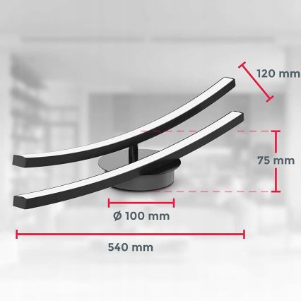 Plafonnier LED 2xLED/6W/230V 3000K noir