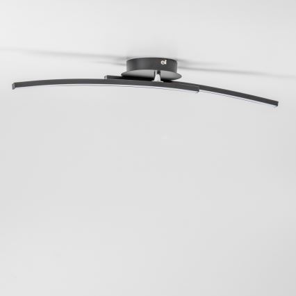 Plafonnier LED 2xLED/6W/230V noir