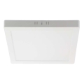 Plafonnier LED/6W/230V 4000K 12x12 cm blanc