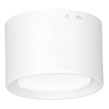 Plafonnier LED/6W/230V blanc d. 8 cm