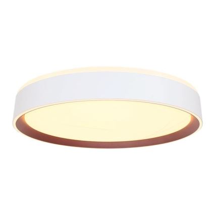 Plafonnier LED à intensité variable LED/48W/230V 2700-6500K Wi-Fi Tuya + télécommande