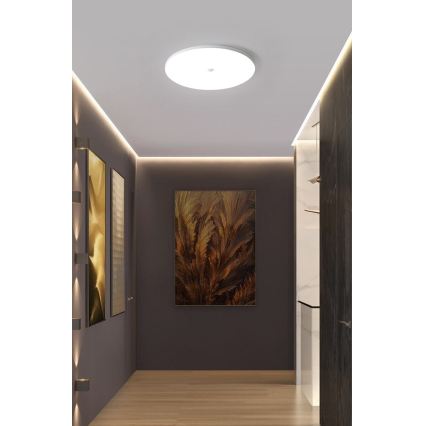 Plafonnier LED avec capteur crépusculaire et détecteur de mouvement MORETTI LED/24W/230V Ø 30 cm IP40 6500K