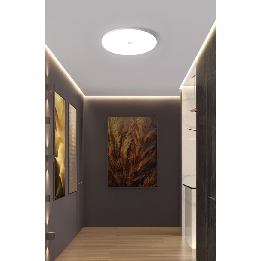 Plafonnier LED avec capteur crépusculaire et détecteur de mouvement MORETTI LED/24W/230V Ø 30 cm IP40 6500K