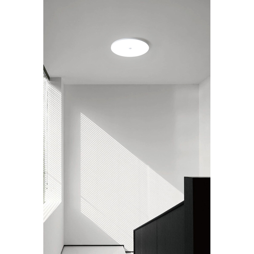 Plafonnier LED avec capteur crépusculaire et détecteur de mouvement MORETTI LED/24W/230V Ø 30 cm IP40 6500K