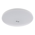 Plafonnier LED avec capteur crépusculaire et détecteur de mouvement MORETTI LED/24W/230V Ø 30 cm IP40 6500K