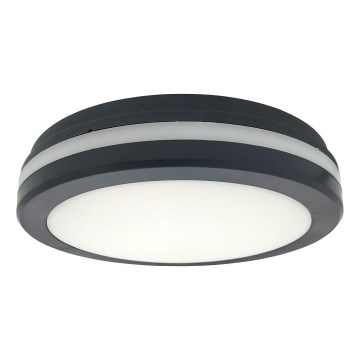 Plafonnier LED avec détecteur de mouvement, 20 W, 230 V, 3000/4000/6500 K, Ø 230 cm, IP54, anthracite