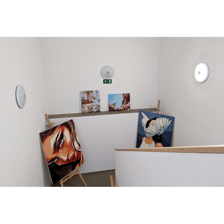 Plafonnier LED avec détecteur de mouvement et capteur crépusculaire LED/12W/230V Ø 29 cm blanc