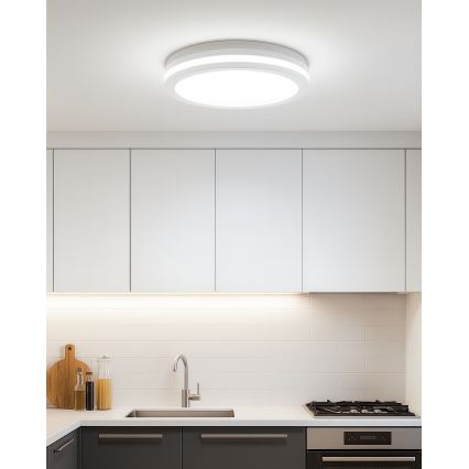 Plafonnier LED à détecteur de mouvement — 20 W, 230 V, 3000/4000/6500 K, Ø 230 cm, IP54, gris