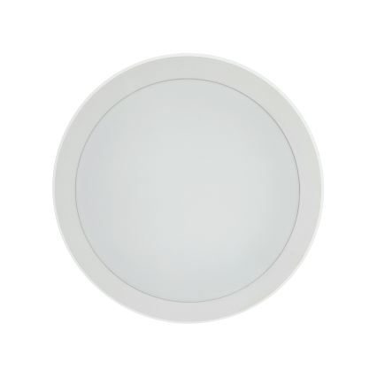 Plafonnier LED à détecteur de mouvement — 20 W, 230 V, 3000/4000/6500 K, Ø 230 cm, IP54, gris