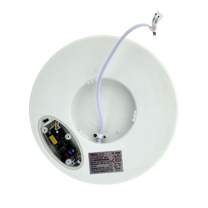 Plafonnier LED à détecteur de mouvement — 20 W, 230 V, 3000/4000/6500 K, Ø 230 cm, IP54, gris