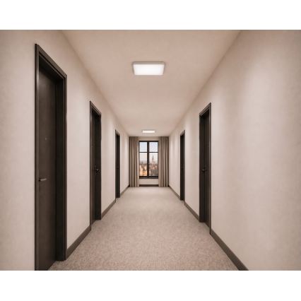 Plafonnier LED WILTON avec capteur de mouvement et capteur crépusculaire, LED/24W/230V, 4000K, 33x33 cm, blanc