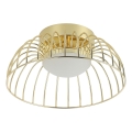 Plafonnier LED BETSY LED/12W/230V de 25 cm doré