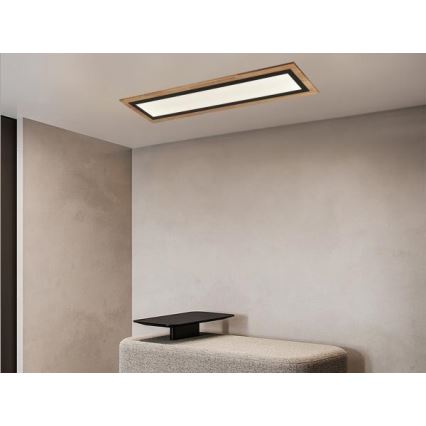 Plafonnier LED dimmable 55W/230V 3000-6500K + télécommande
