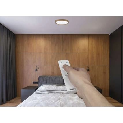Plafonnier LED dimmable ILVI, 30 W, 230 V, 2700–6500 K, Ø 40 cm, finition bois, avec télécommande