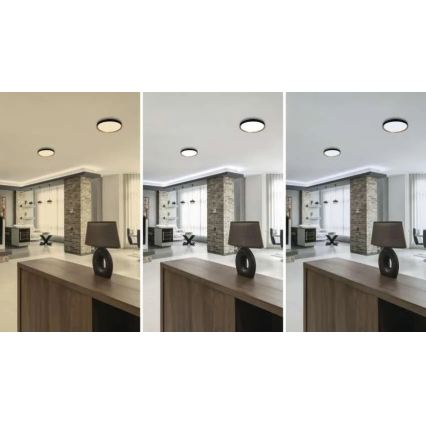 Plafonnier LED dimmable ILVI LED/30W/230V 2700-6500K Ø 40 cm noir/beige + télécommande