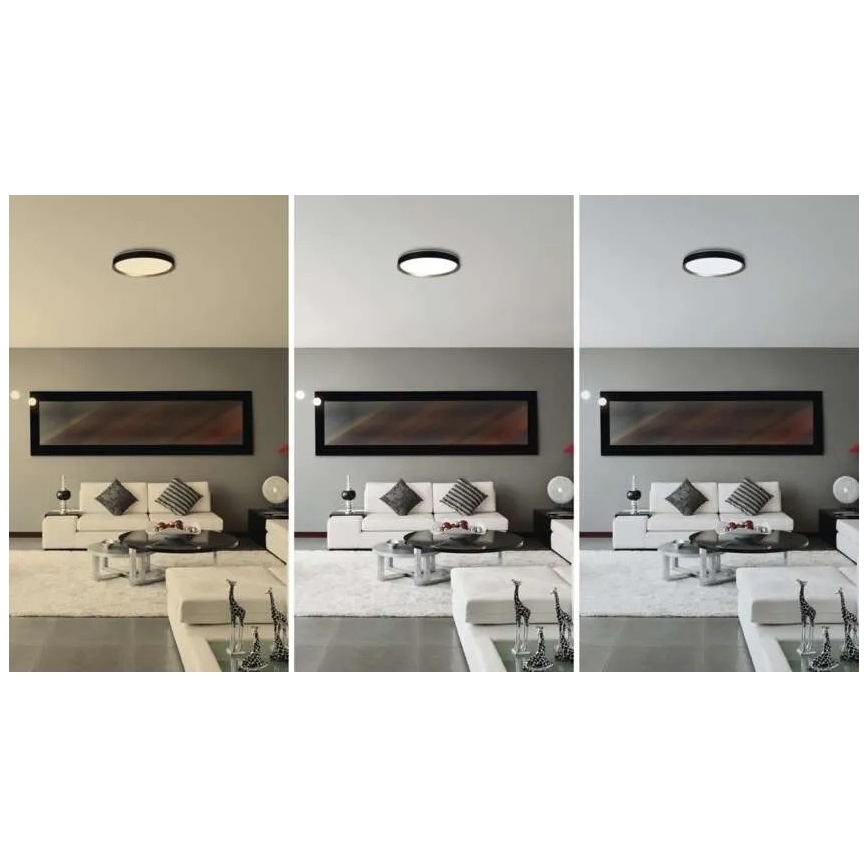 Plafonnier LED dimmable ILVI LED/30W/230V 2700-6500K Ø 40 cm noir/laiton + télécommande