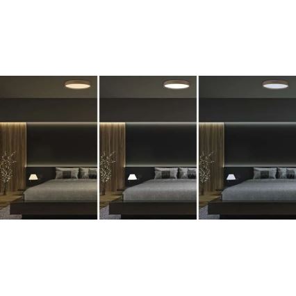 Plafonnier LED dimmable ILVI LED/45W/230V 2700-6500K Ø 50 cm beige + télécommande