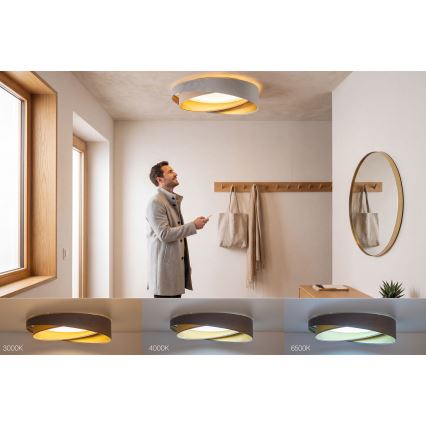 Plafonnier LED dimmable SMART GALAXY MODERN LED/24W/230V 3000-6500K Ø 55 cm gris/beige/doré + télécommande