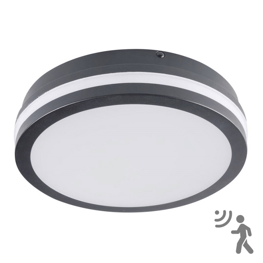 Plafonnier LED extérieur avec capteur BENO LED/18W/230V 4000K anthracite IP54