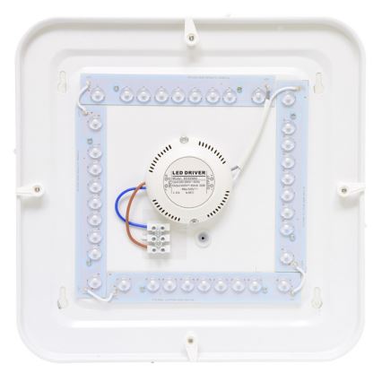 Plafonnier LED extérieur LUKA LED/42W/230V IP44