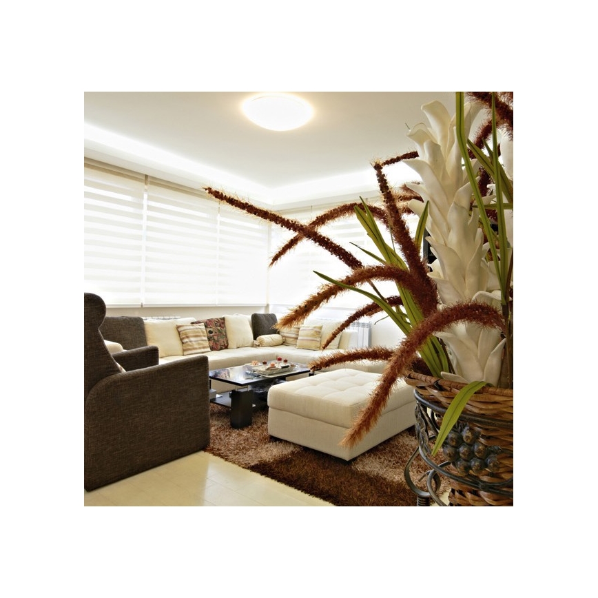 Plafonnier LED extérieur NELA LED/32W/230V IP44