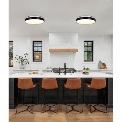 Plafonnier LED FLORIDA LED/18W/230V noir