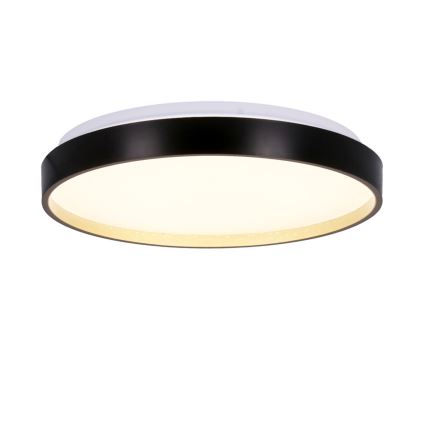 Plafonnier LED FLORIDA LED/18W/230V noir