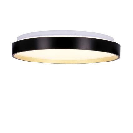 Plafonnier LED FLORIDA LED/18W/230V noir