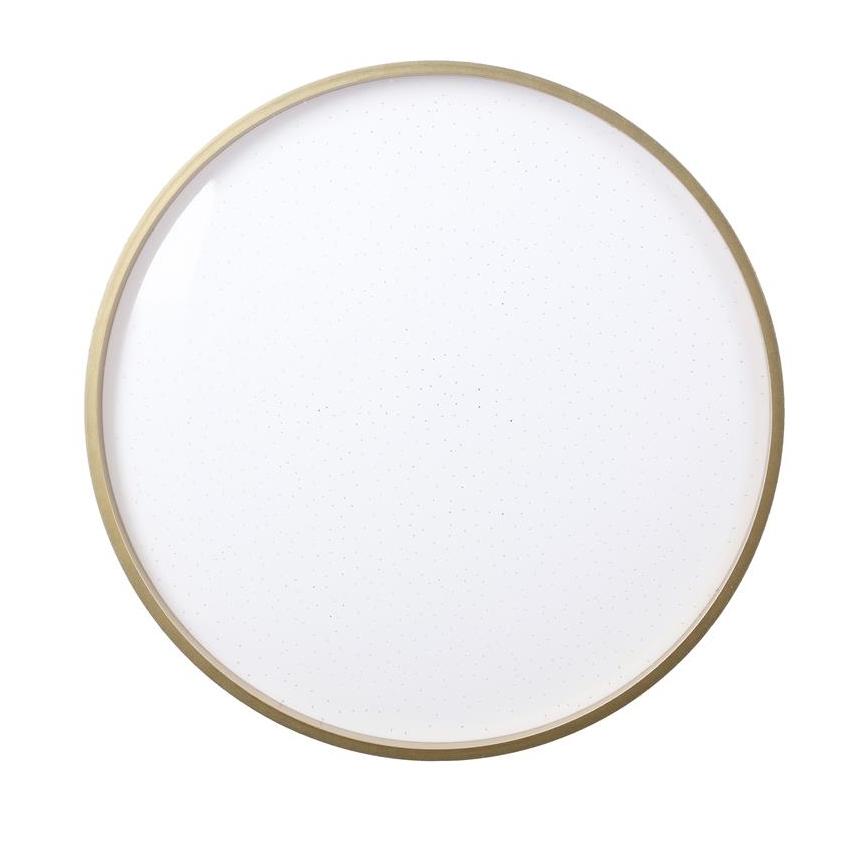 Plafonnier LED FLORIDA LED/18W/230V noir