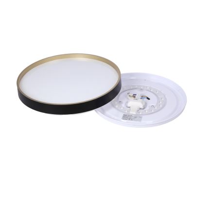Plafonnier LED FLORIDA LED/18W/230V noir