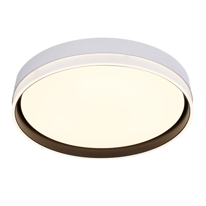 Plafonnier LED FLORIDA LED/24W/230V blanc