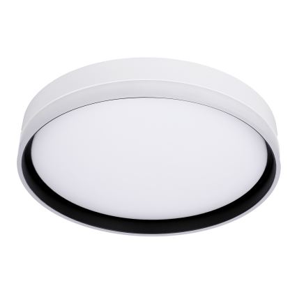 Plafonnier LED FLORIDA LED/24W/230V blanc