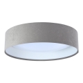 Plafonnier LED GALAXY LED/24W/230V Ø 44 cm gris/blanc