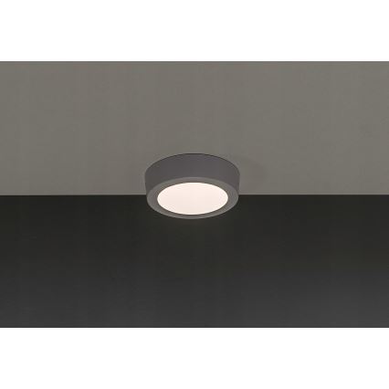 Plafonnier LED GERRIT LED/6W/230V 3000K