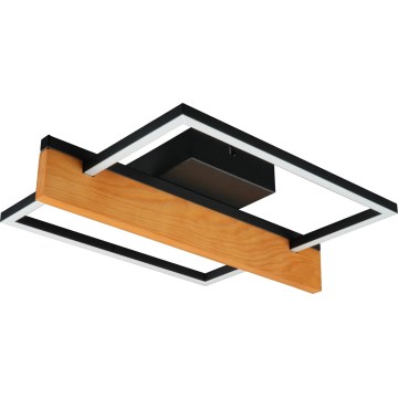 Plafonnier LED LARYSA LED/11,5W/230V 35x45 cm pin