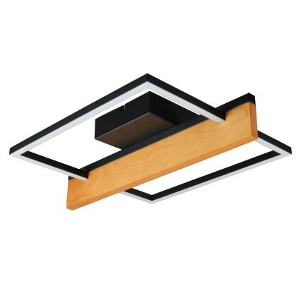 Plafonnier LED LARYSA LED/11,5W/230V 35x45 cm pin